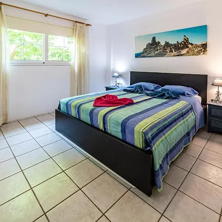 Perla Marina En Rocas Del Mar Арона